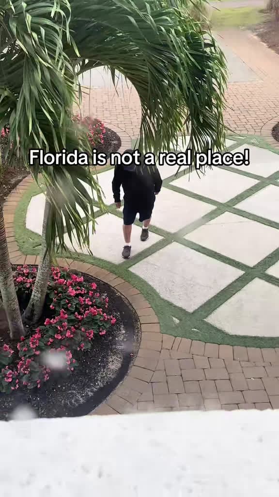 cover for Is that really a squirrel?! We couldn't believe our eyes 😭 #FloridaWildlife #ViralMoment