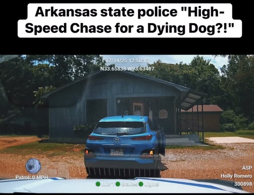 cover for High speed chase in Arkansas for a dying dog