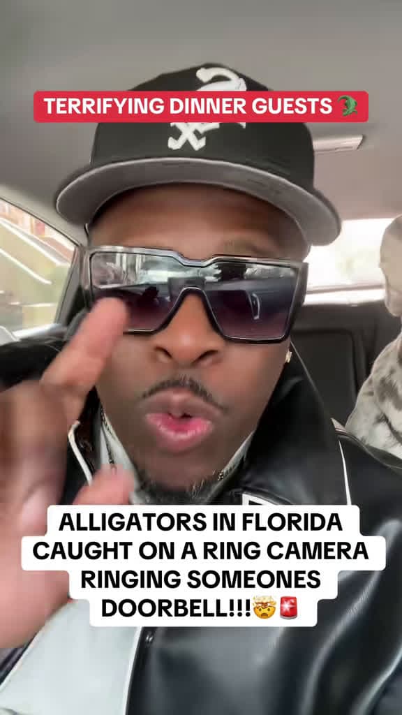 cover for Watch out! Florida's alligators are getting smarter and more daring 🐊🤯 #FloridaWildlife #Alligator #WildEncounters
