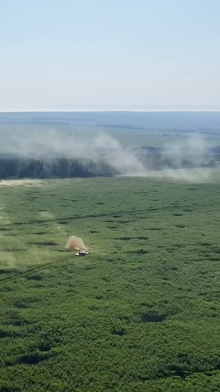 cover for Watch a real shockwave ripple through the grass — you can actually see the air move! 🌱 #Science #Physics #Shockwave #GrassRipples #MindBlown