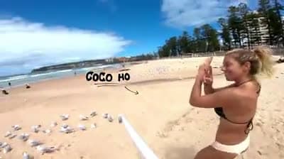 cover for Introducing North Shore native everyones favorite surf personality, #GoProAthlete Mason Ho Welcome to the #GoProFamily