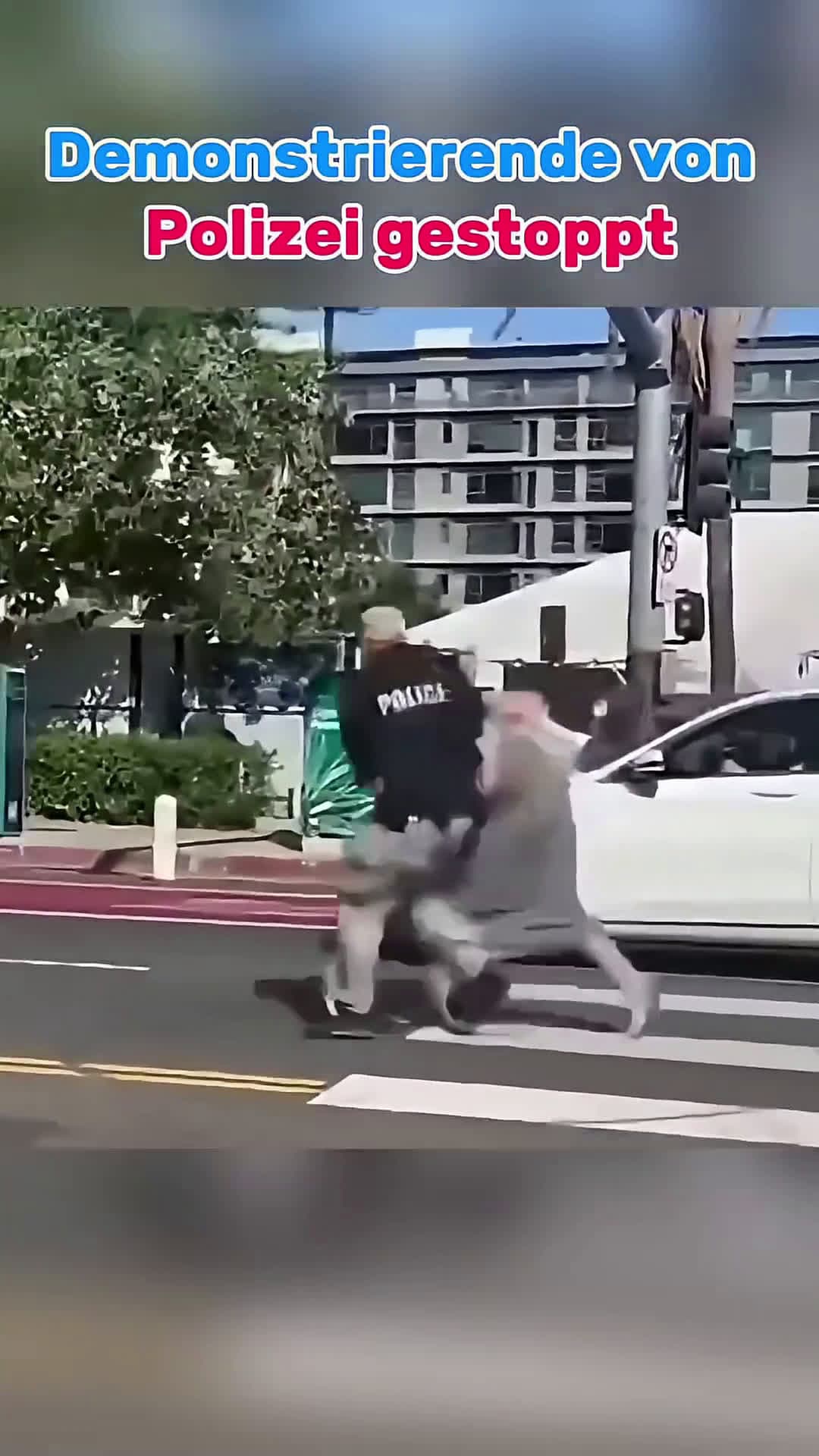 cover for Protesters abruptly stopped by police #bodycam 