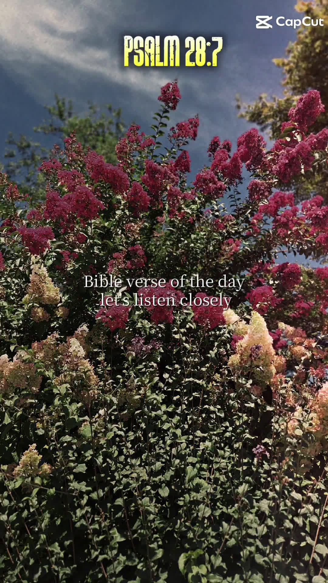 cover for fypシ゚viralシ #bible  #verse #of the day.