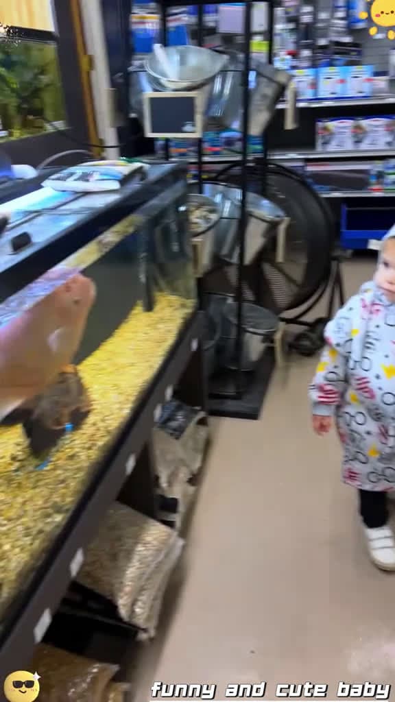 cover for Funny and cute baby videos fyp Foryou Tiktok usa Funny happy baby cute cutebaby cutekidvid 45326 #trend