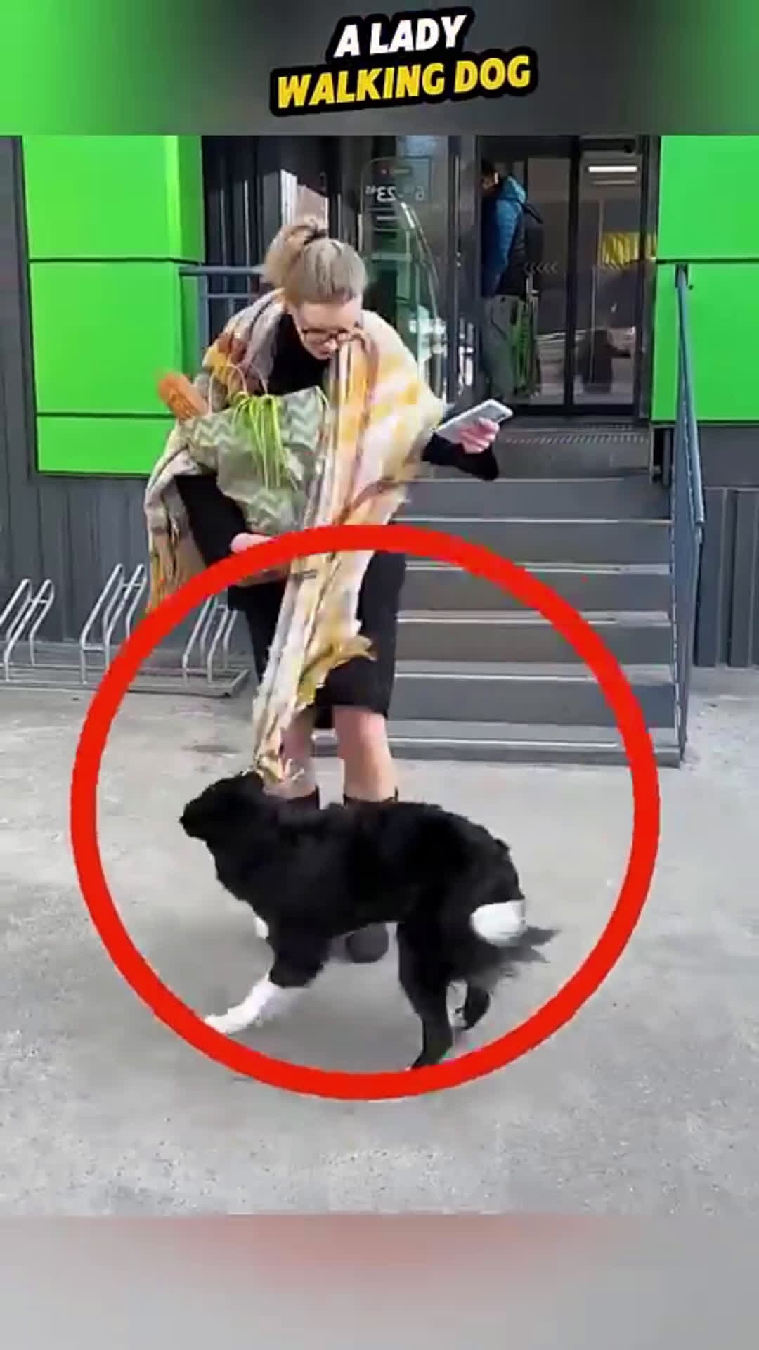 cover for A Gift of Kindness, Delivered by a Dog😚#wholesome 