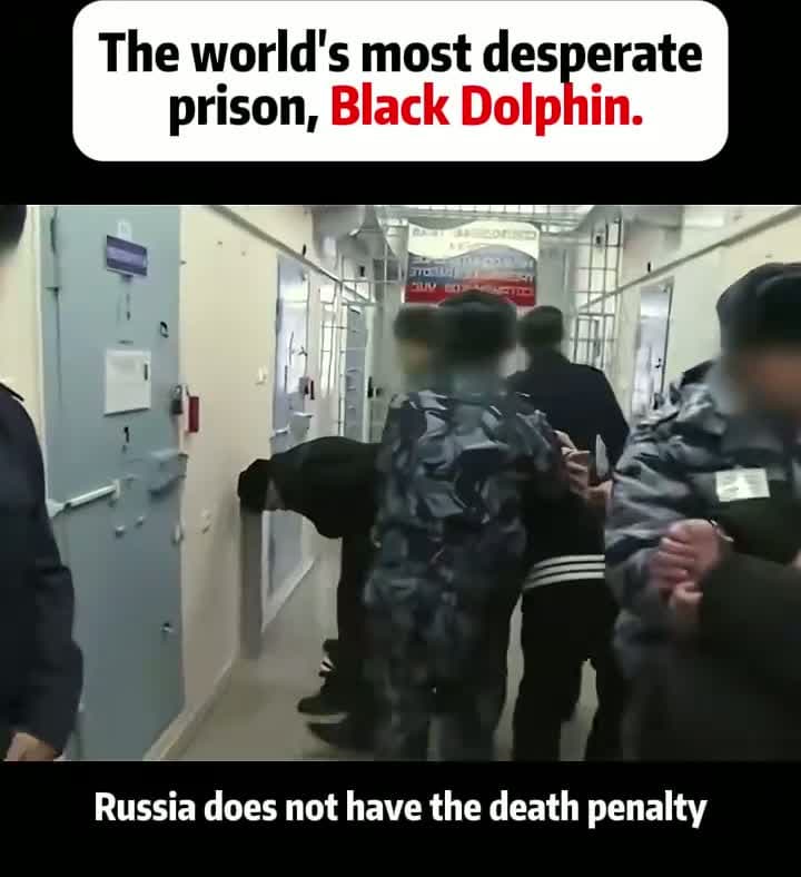 cover for Do you think this prison is horriblefyp fouyou tiktok usa jack