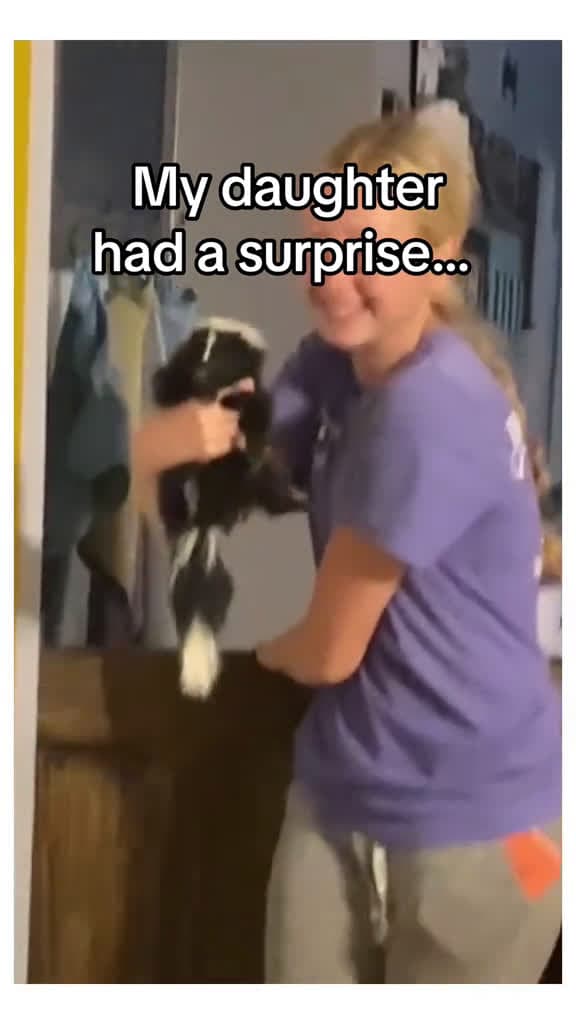 cover for He just wanted someone like him.. #wholesome #animals