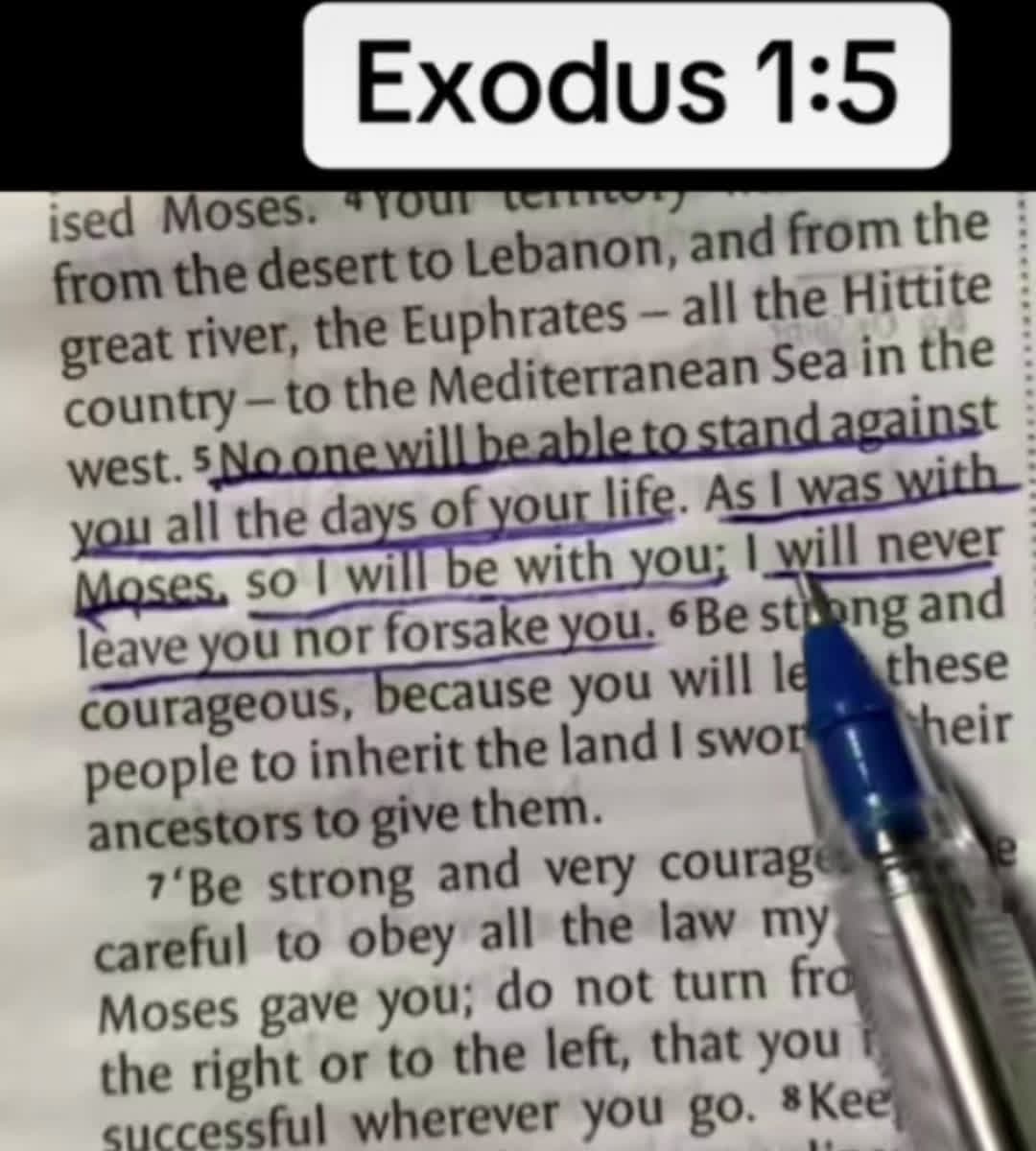 cover for #dailyscriptures 