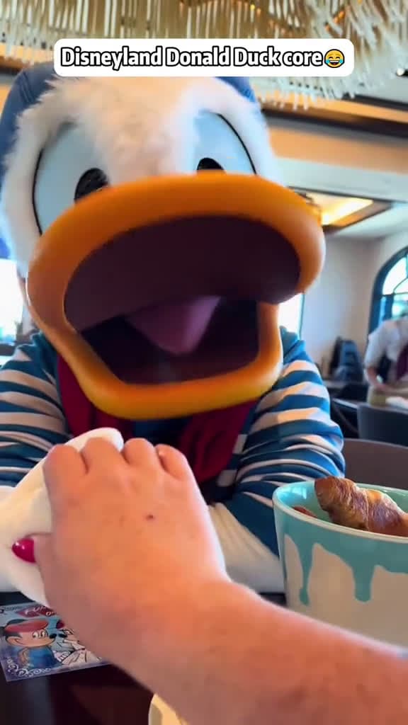 cover for Disneyland Donald Duck core funnymoments funnyvid disneyland viral fyp funny 11230 #america