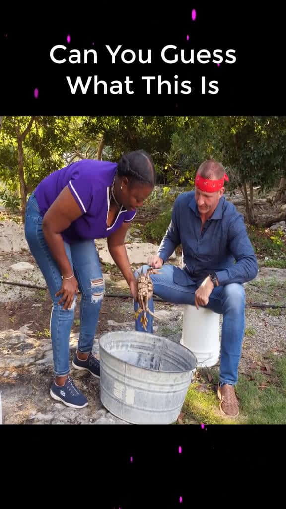 cover for SHOCKING Bahamas Food Tour EP2besteverfoodreviewshow trending Recipe fyp eatingso 43531 #shortvideos