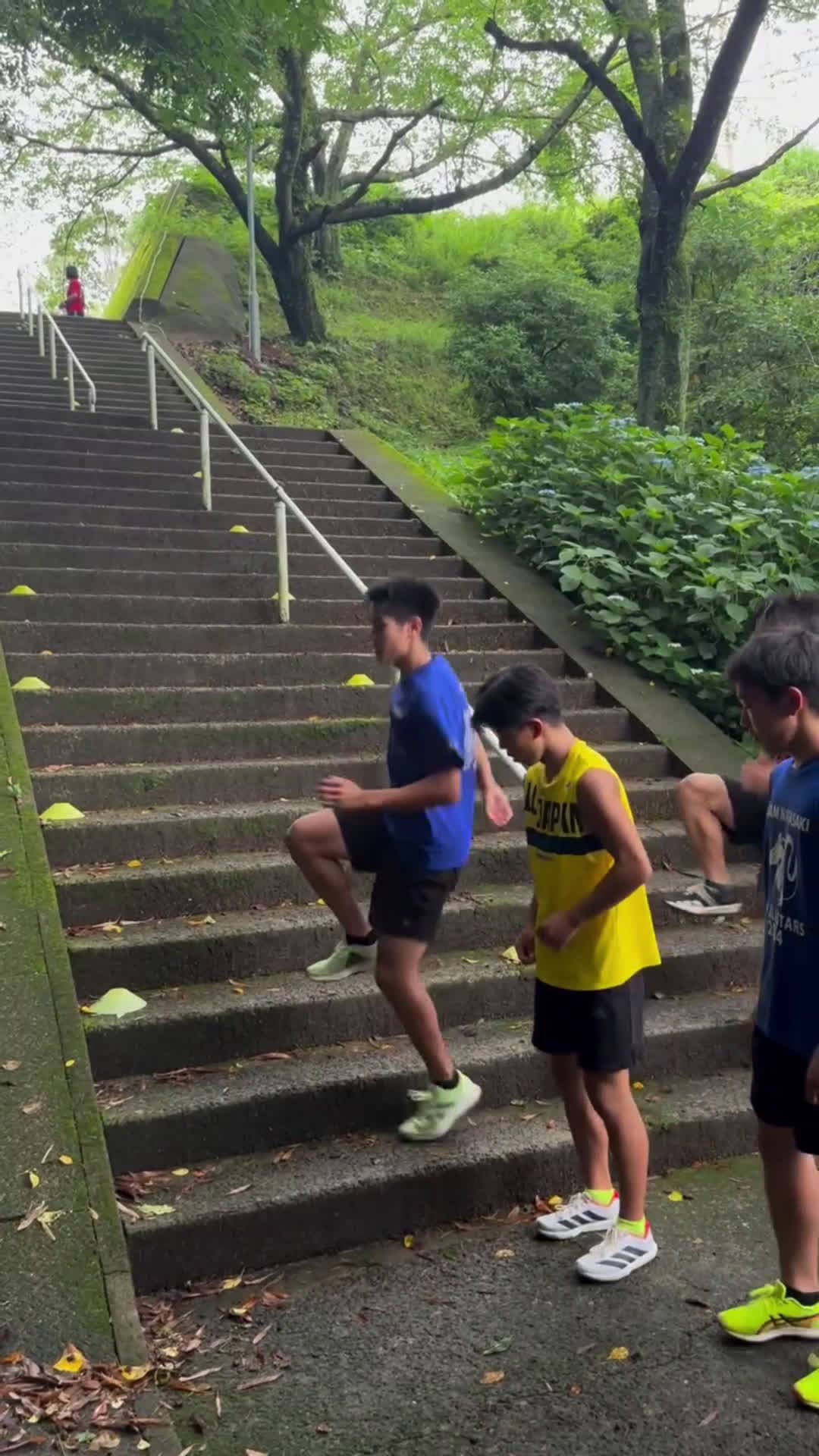 cover for Stair training 💪