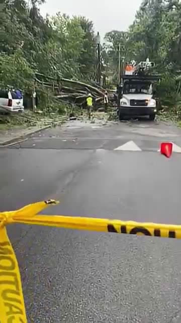 cover for Massive Tree Down on Hemphill School Roa