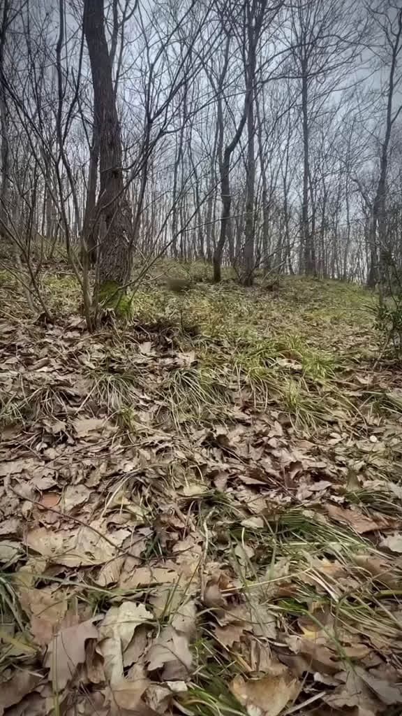 cover for steak and beef marrow on natural rocks cookingasmr outdoorcooking leon nature asrm 04302 #ilovescoopz