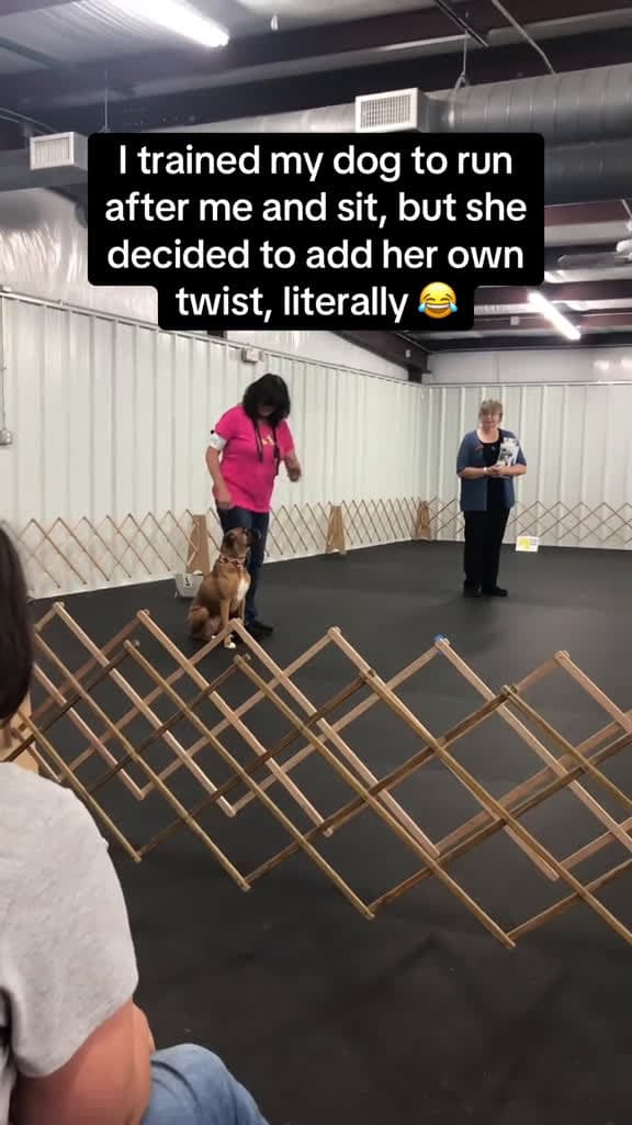 cover for This was pretty impressive not gonna lie 👏🏻👏🏻 #OddlySatisfying #ThePawfectMoment