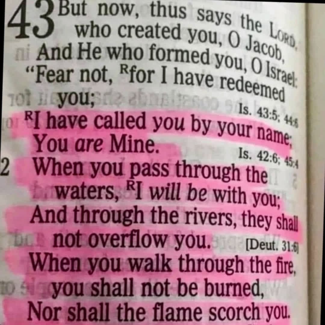 cover for #dailyscriptures 