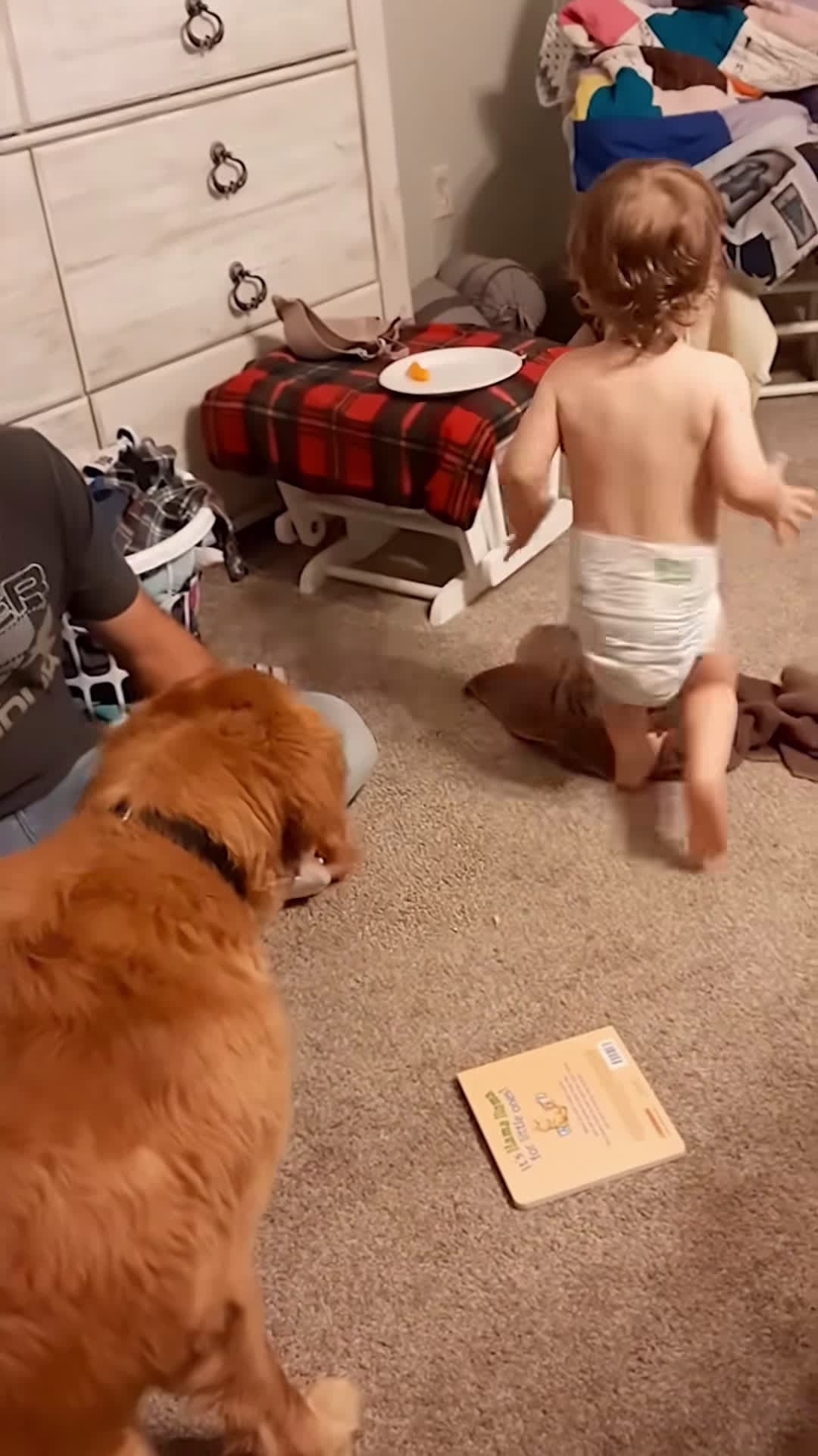 cover for Funny dog compilations 02 #dog #dogrescued #doglover #funnydog