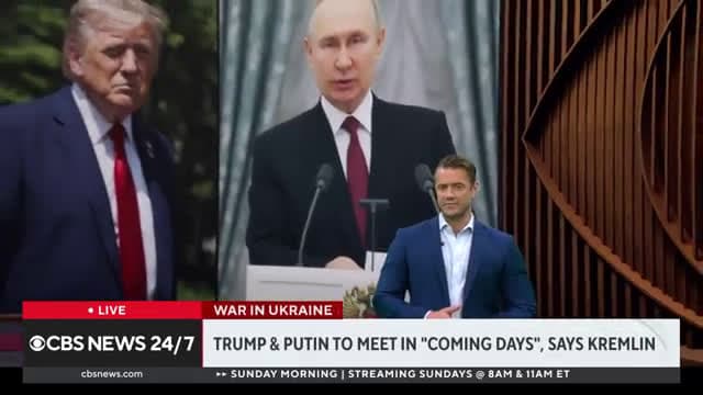 cover for Zelenskyy reacts to news of potential meeting involving Trump, Putin