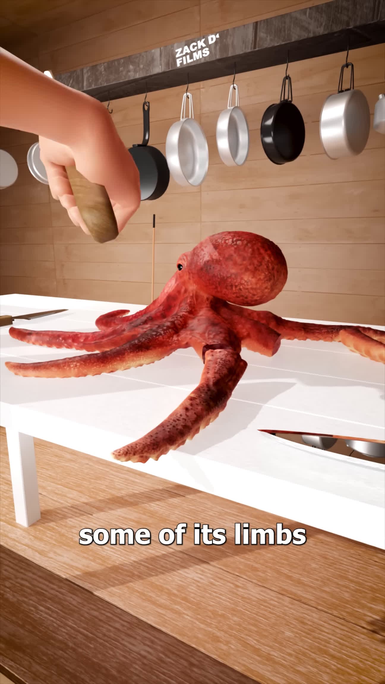 cover for Octopus Limb Regrowth 🤔