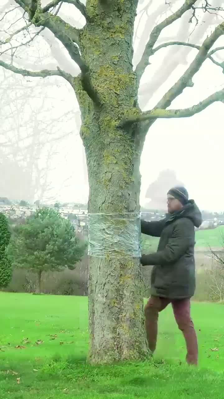 cover for This artist makes trees disappear with his painting skills! 🌳🎨 #InvisibleArt #MindBlowing #NatureArt