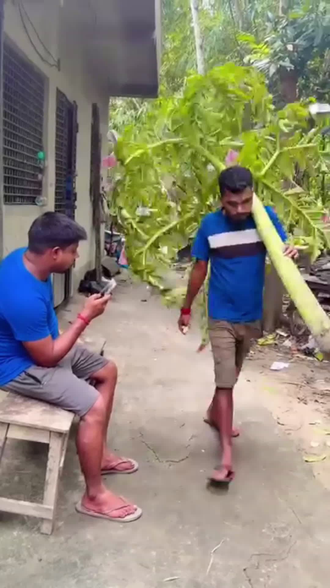 cover for so funny 🤣🤣