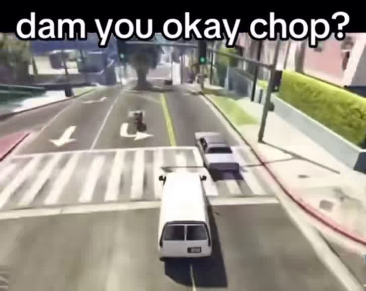 cover for Chop really went through it 😂 #GTA5 #funny #gaming #foryou #dogmoments