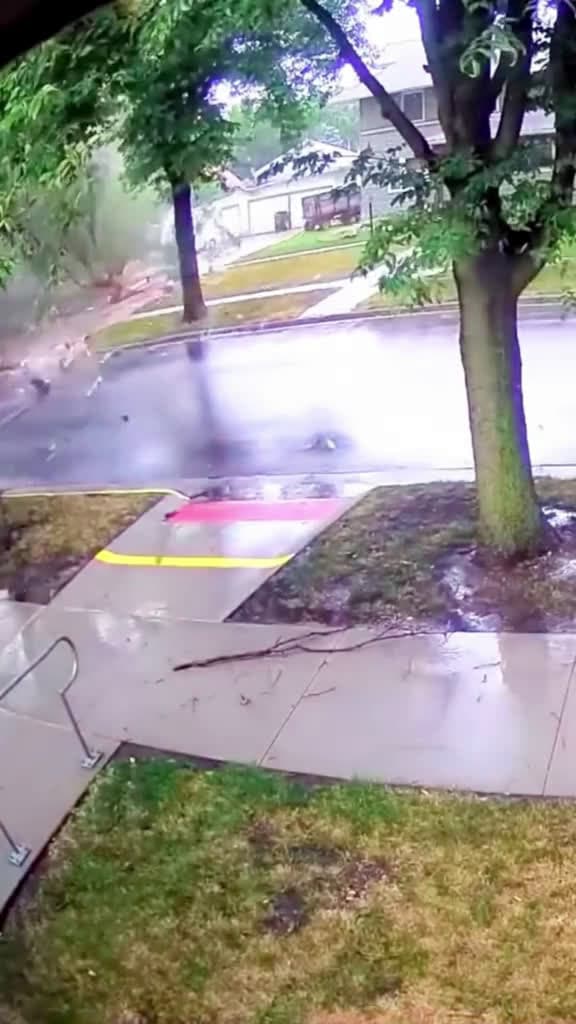 cover for Lightning strikes trees lightning weather satisfyingvideo storm fpy 01726 #ilovescoopz
