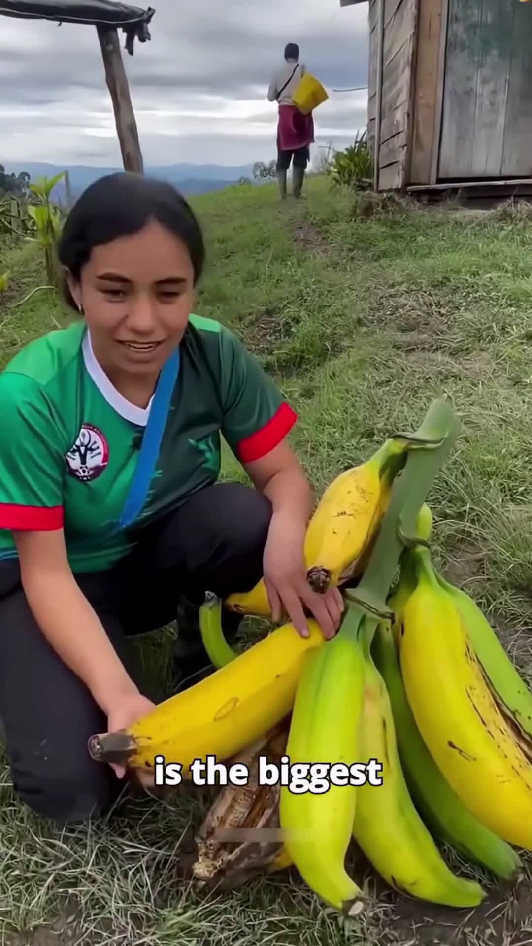 cover for WILD 2-Foot Banana! 🍌🤯 