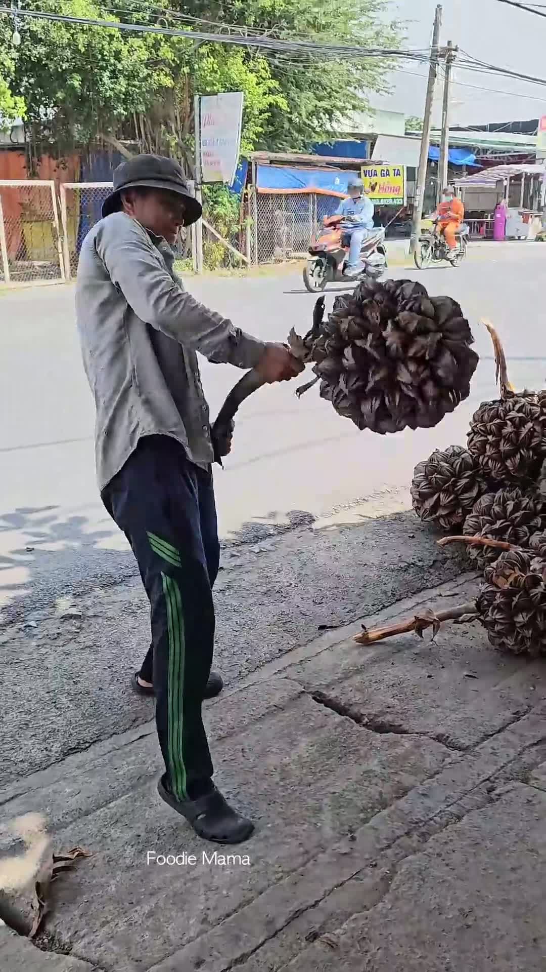 cover for The Most Unique Fruit in the World - Fruit Cutting Skills - Vietnamese Street Food