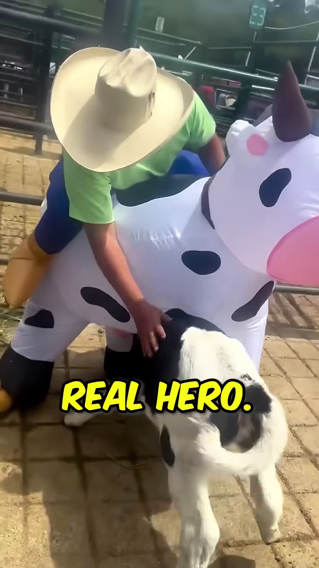 cover for Hes a Hero miganadoco on IG