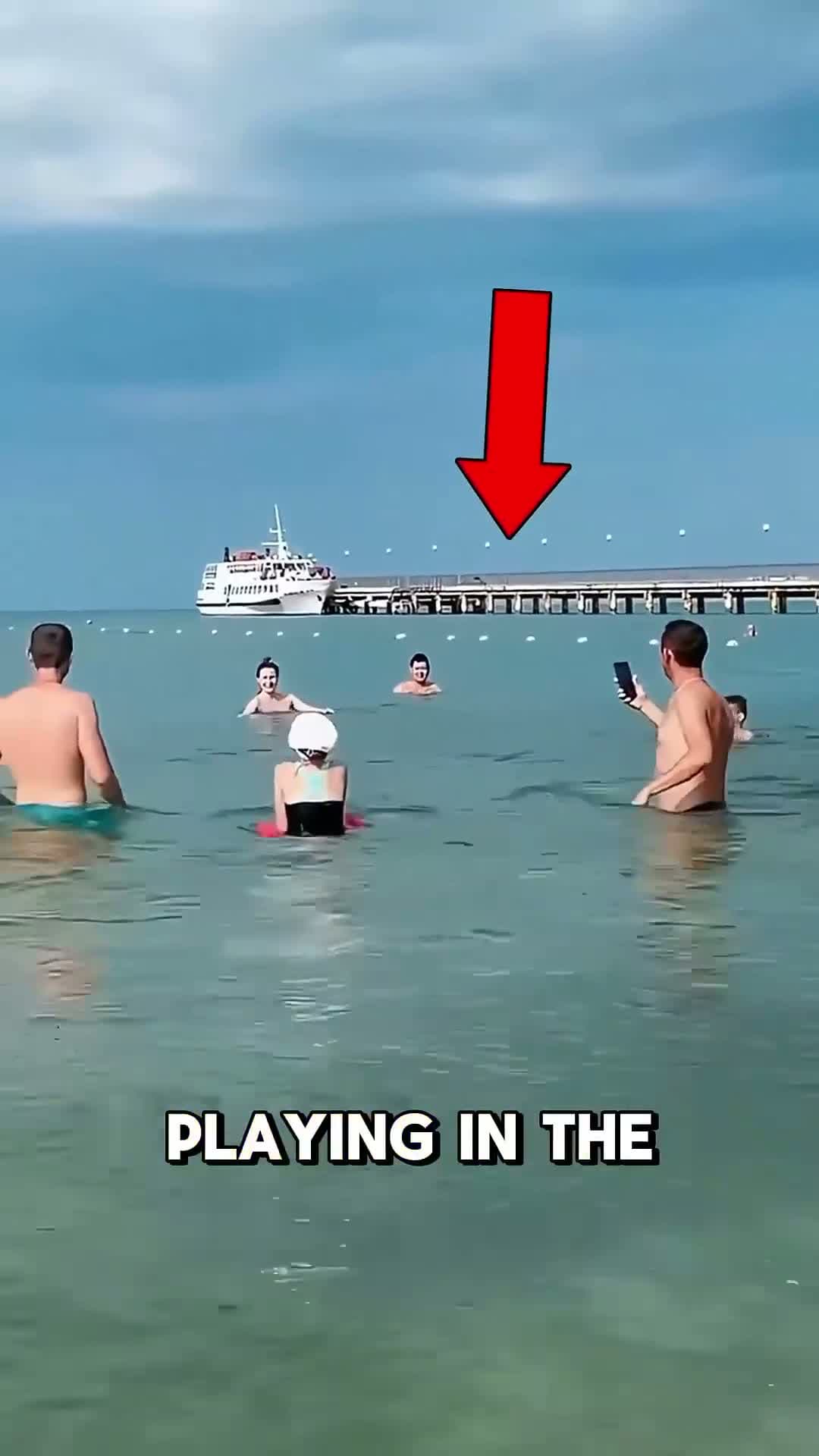 cover for Injured Shark Goes To Shore 🌊🦈