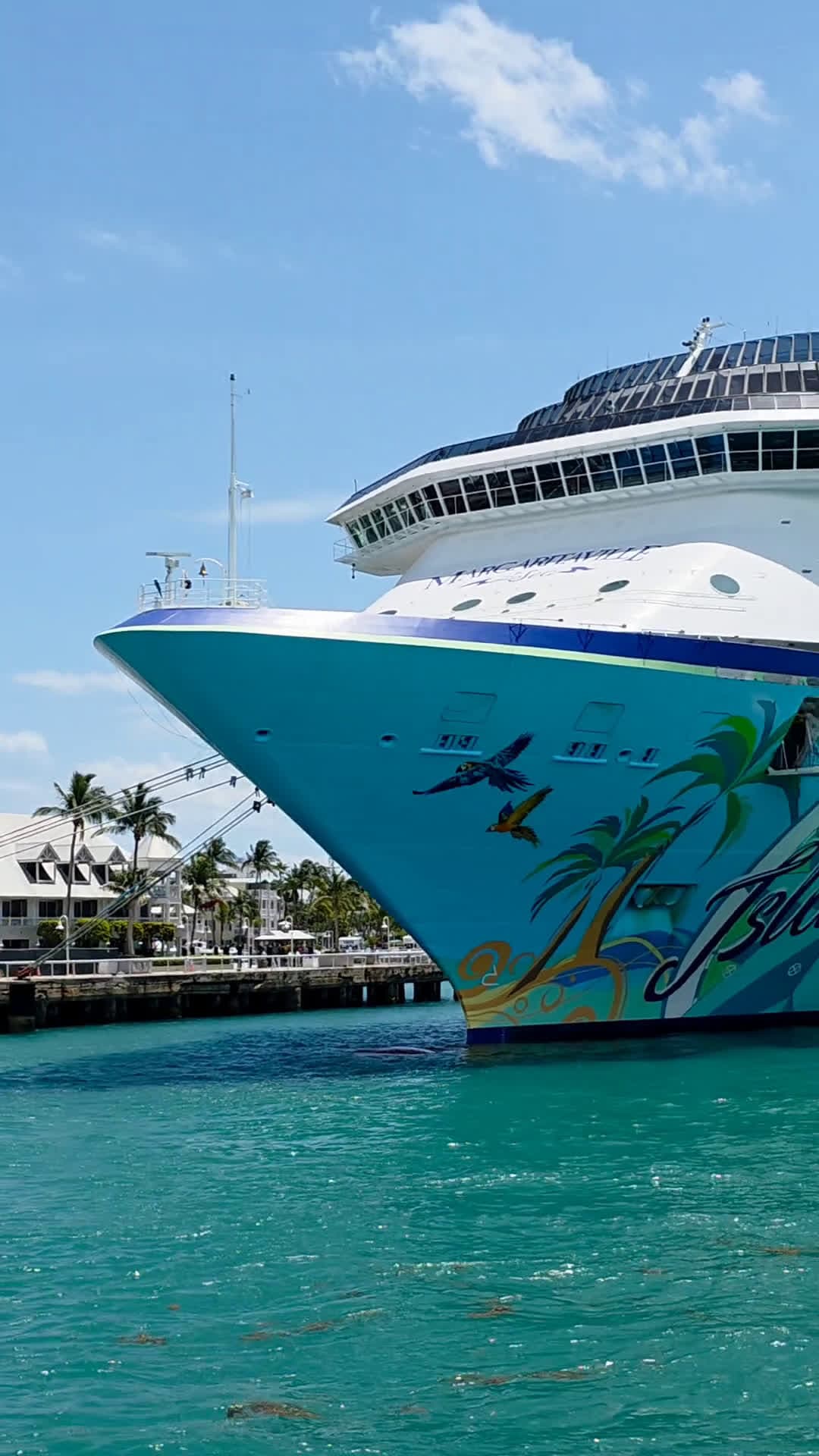 cover for Cool Paint Job. #ships   #parrots    #vacationmode 