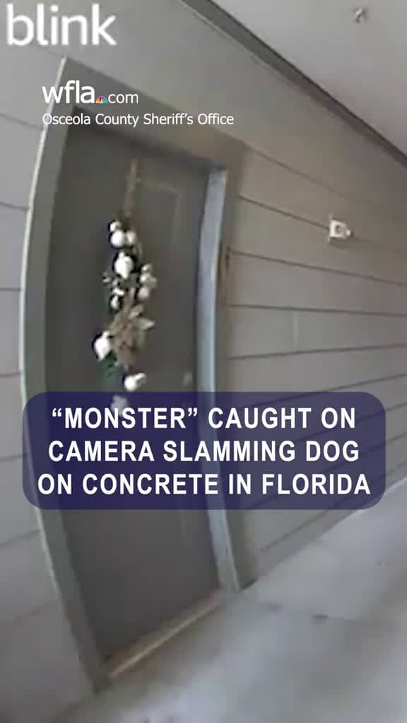 cover for "MONSTER" CAUGHT ON CAMERA SLAMMING DOG ON CONCRETE IN FLORIDA #monster  #slam  #news  #caughtoncamera