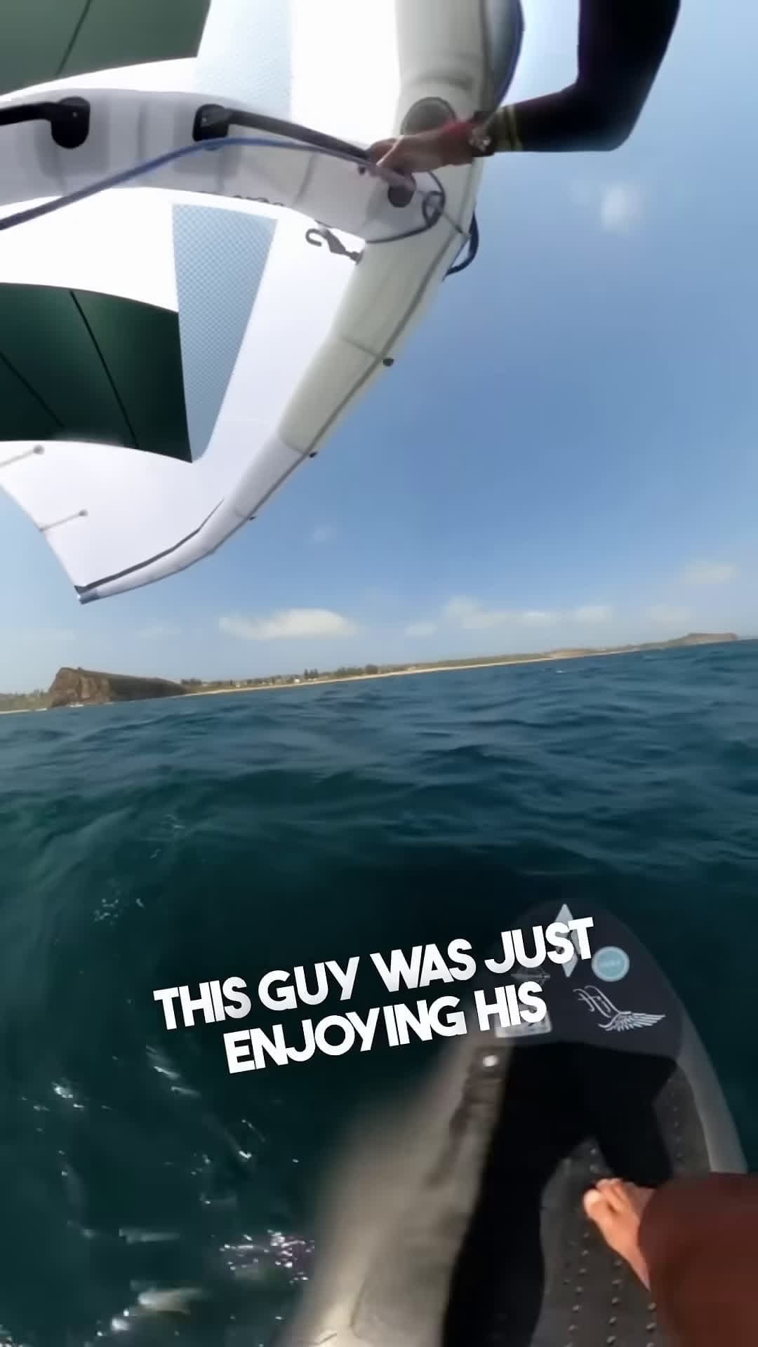 cover for You never know what will happen in the ocean