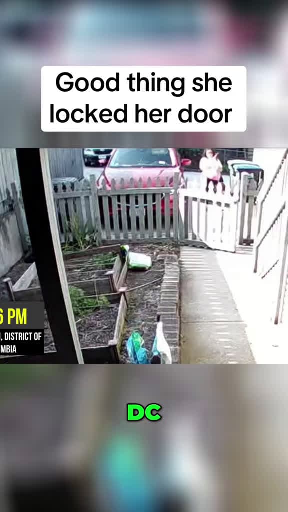 cover for She locked the door right away—doorbell cam moment you can't miss! 🔒 #DoorbellCam #RingDoorbell #CaughtOnRing #FunnyDoorbell