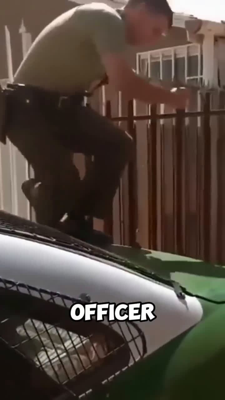 cover for #UnpopularOpinion Cop Helps a Dog Caught on a Tarp Strap