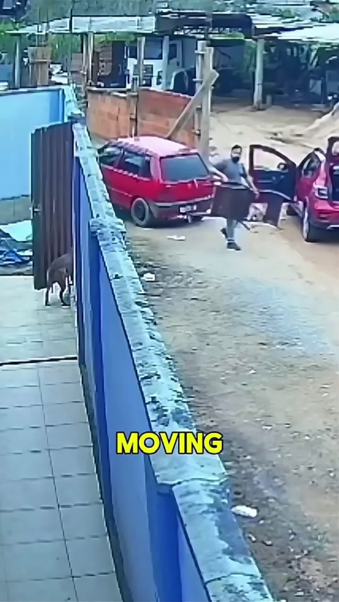 cover for "Man vs. Furious Pitbull" #Pitbull #DogAttack #SelfDefense