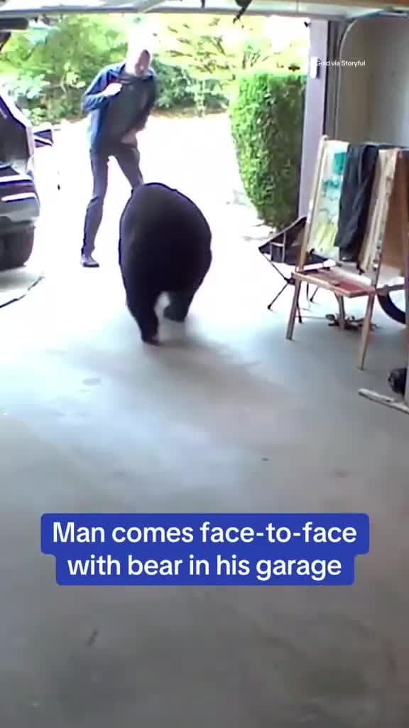 cover for Man comes face to face with bear in his garage!