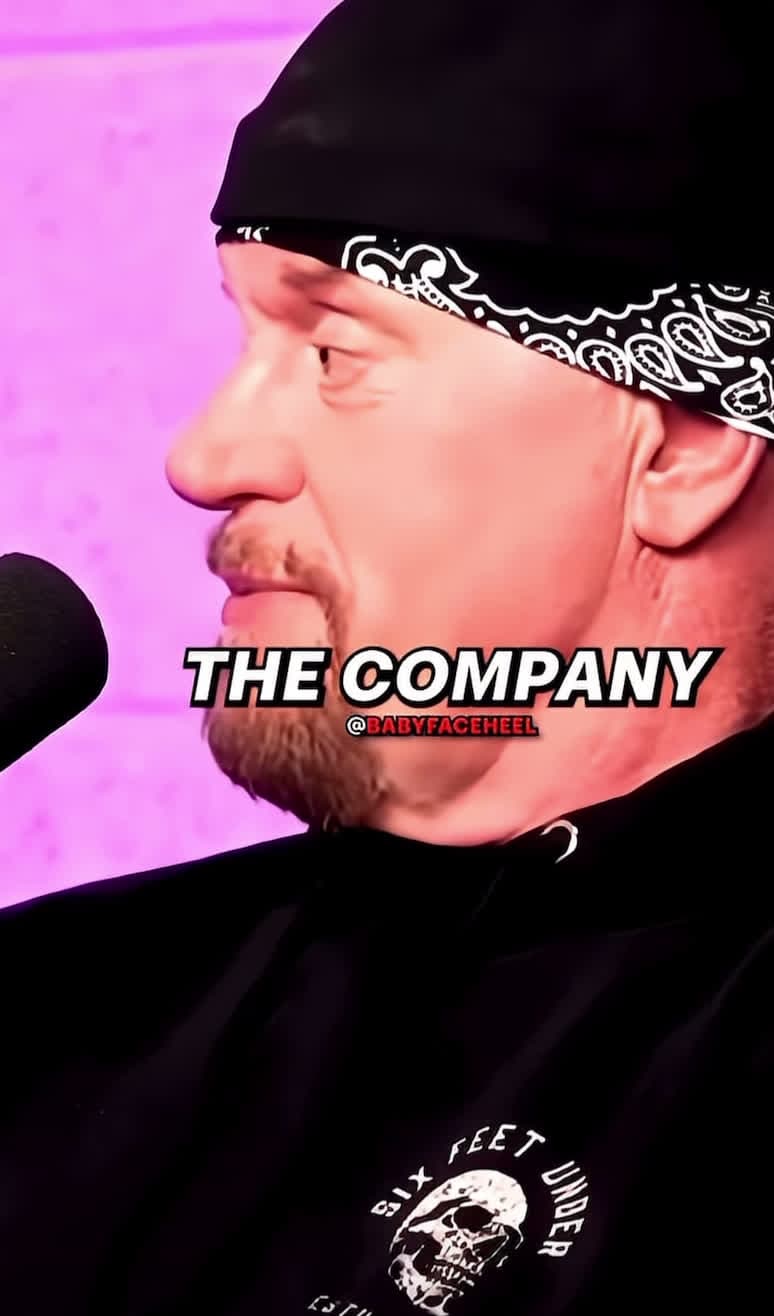 cover for Hulk Hogan vs the undertaker