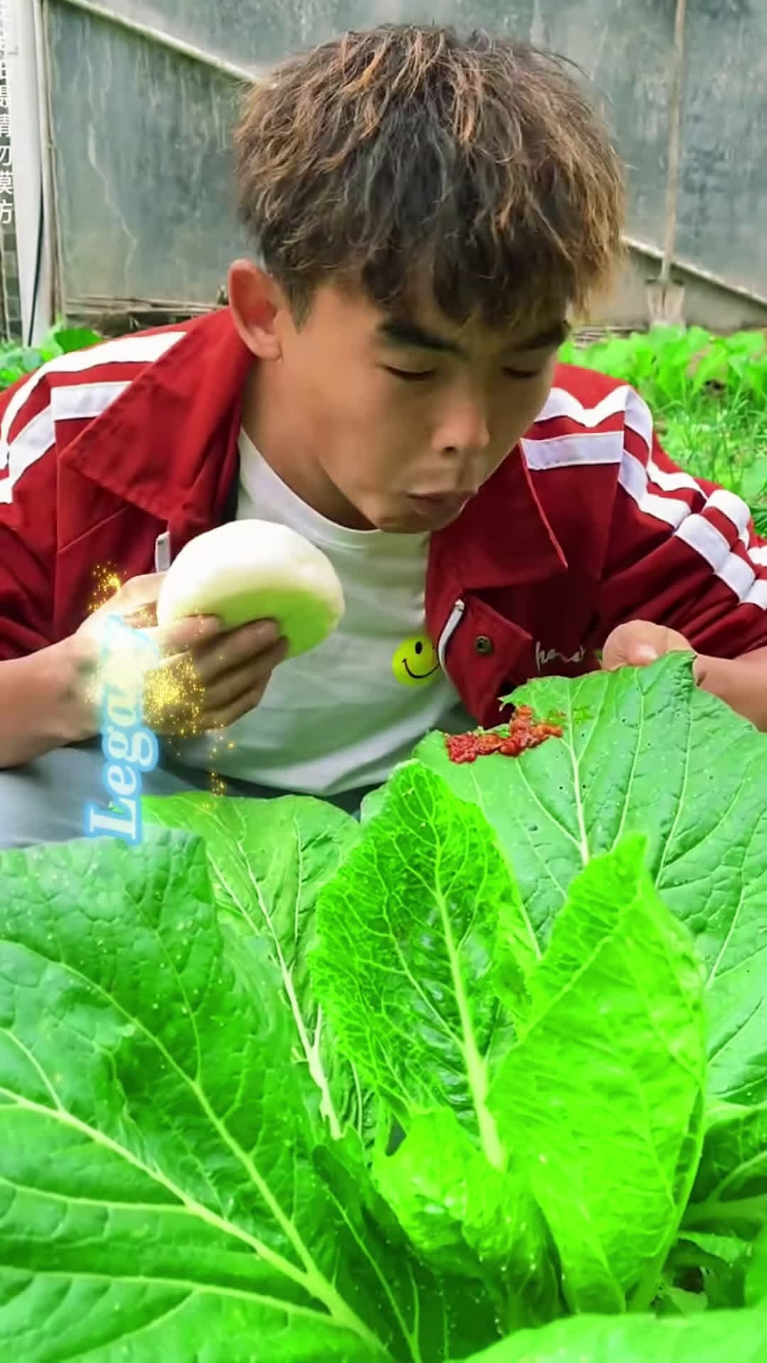 cover for Video 392