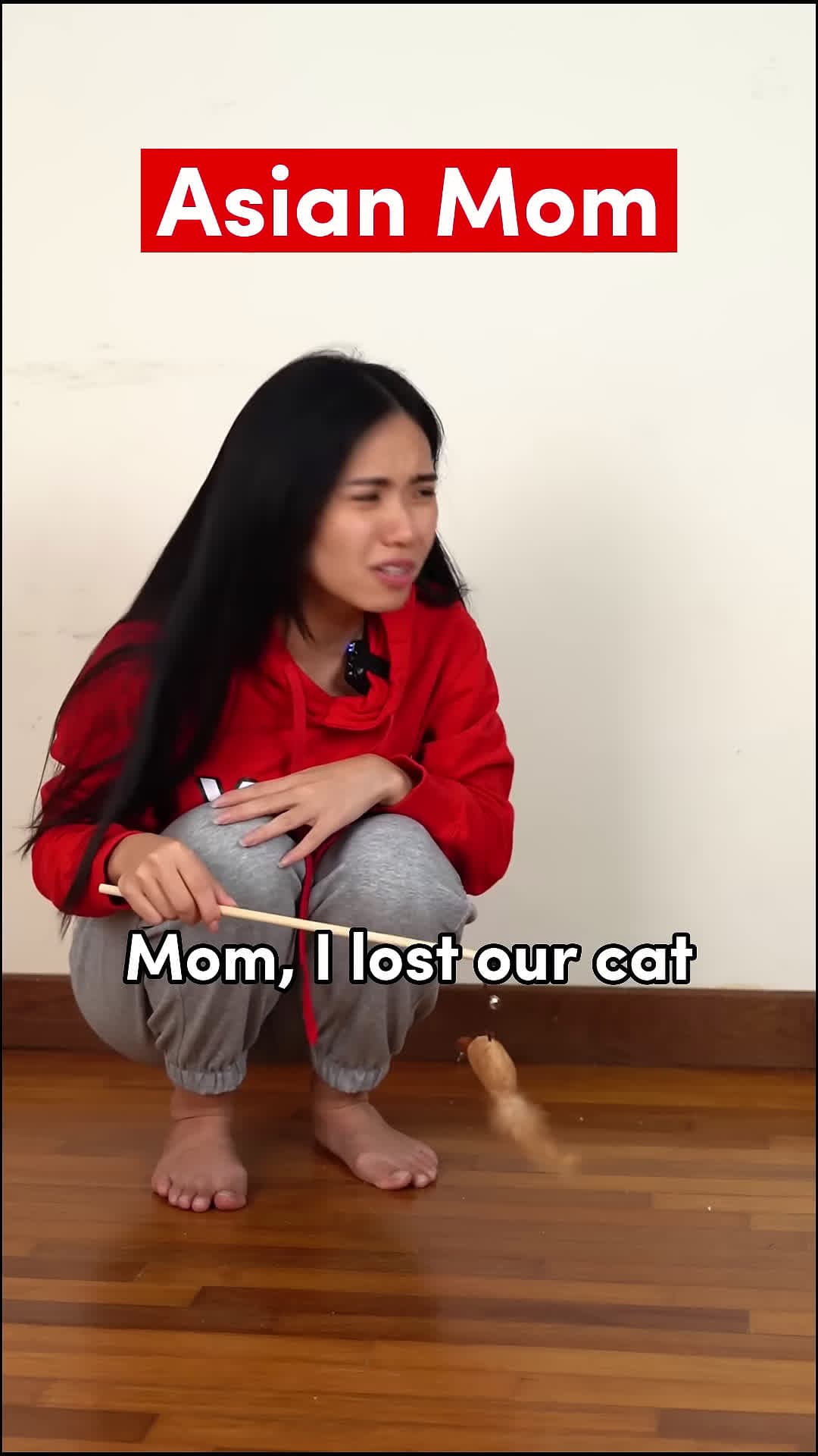 cover for Chapter 35 When you lost your cat