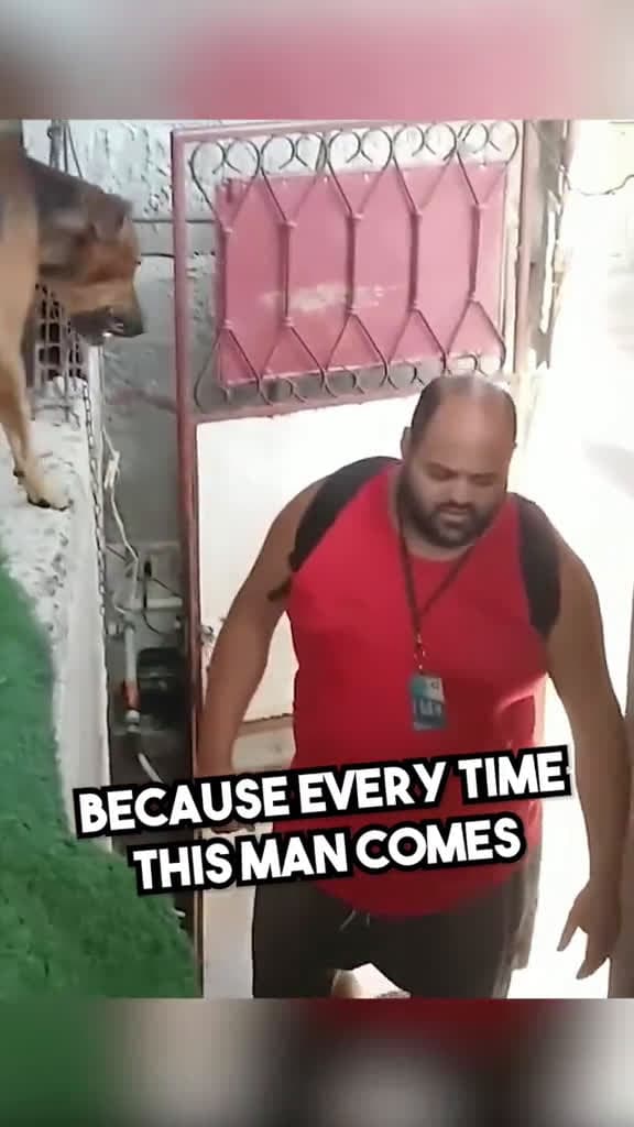 cover for He Hugs Him Every Time...  fyp heartwarming wholesome dog hug 42913 #shortvideos