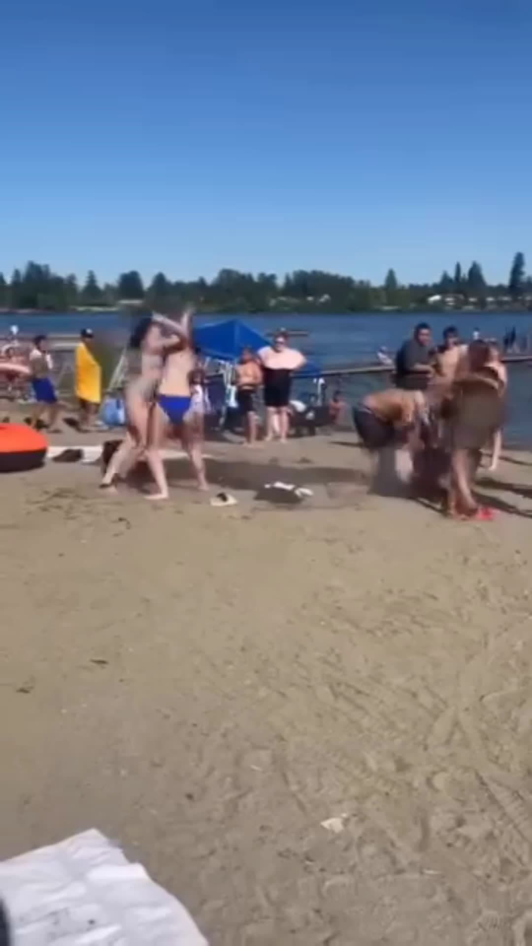 cover for (camera person low-key sucked at recording it)context the girls who are getting their asses beat where fat shaming the bigger girl in blue so her hgs took care of it  #fightcam #girlfights #scoopz 