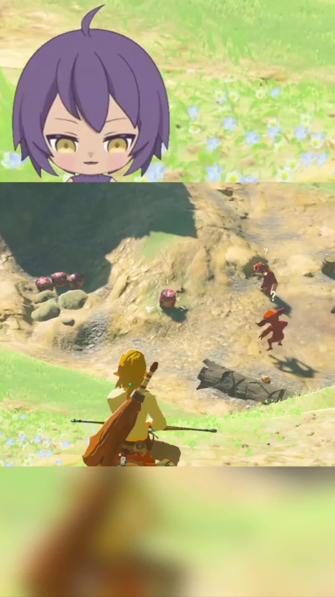 cover for Me vs a bomb in Breath of the Wild: the 3 IQ brain strikes again 😂💥 #BreathoftheWild #BOTW #GamingFails #GamerLife