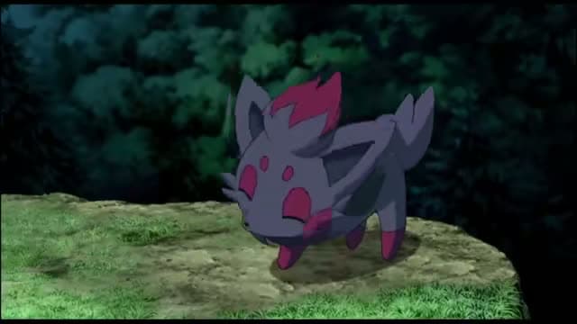 cover for Zorua & Meema Moments 🦊✨ #Pokemon #Anime #Cute