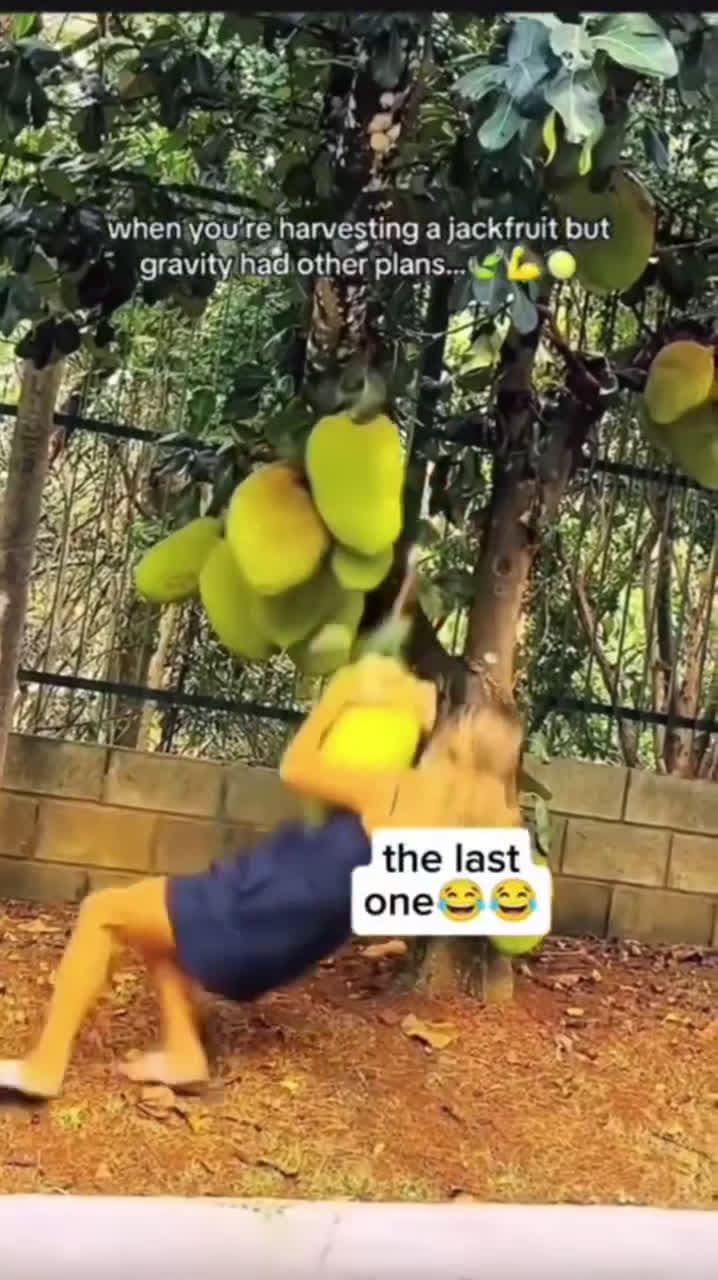 cover for The last one 🤣for today   #funny #funnyvideos #fyp #trending #scoopz #viral