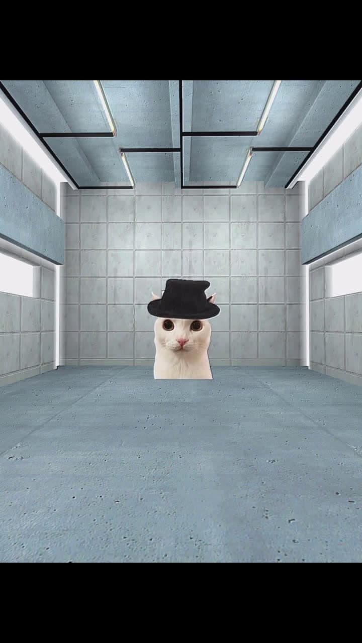 cover for Virtual Insanity Cat   jermbo jamiroquai fyp catmeme gmod 09896 #shortvideos