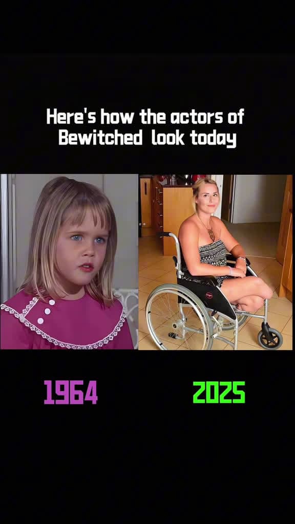 cover for Bewitched Cast: Unveiling Their Amazing Transformations