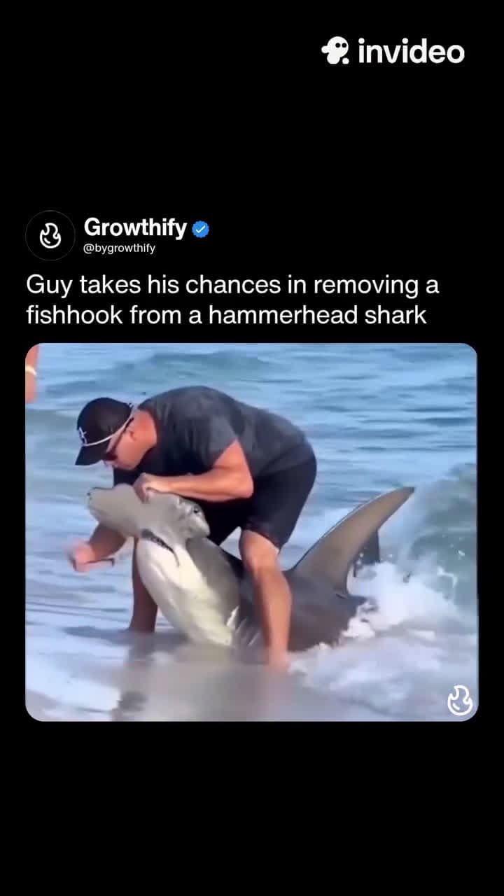 cover for Guy takes his chances to remove a fish hook from a hammerhead shark 🙄🙄