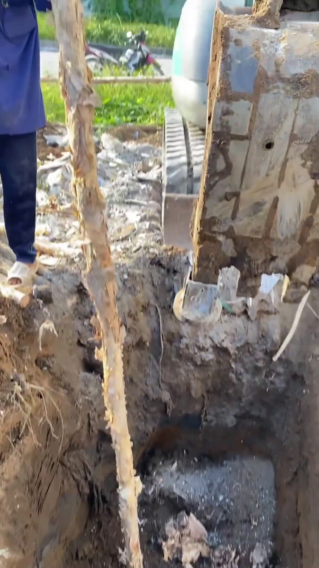 cover for Melaleuca pile construction#UnpopularOpinion #CaughtOnCamera