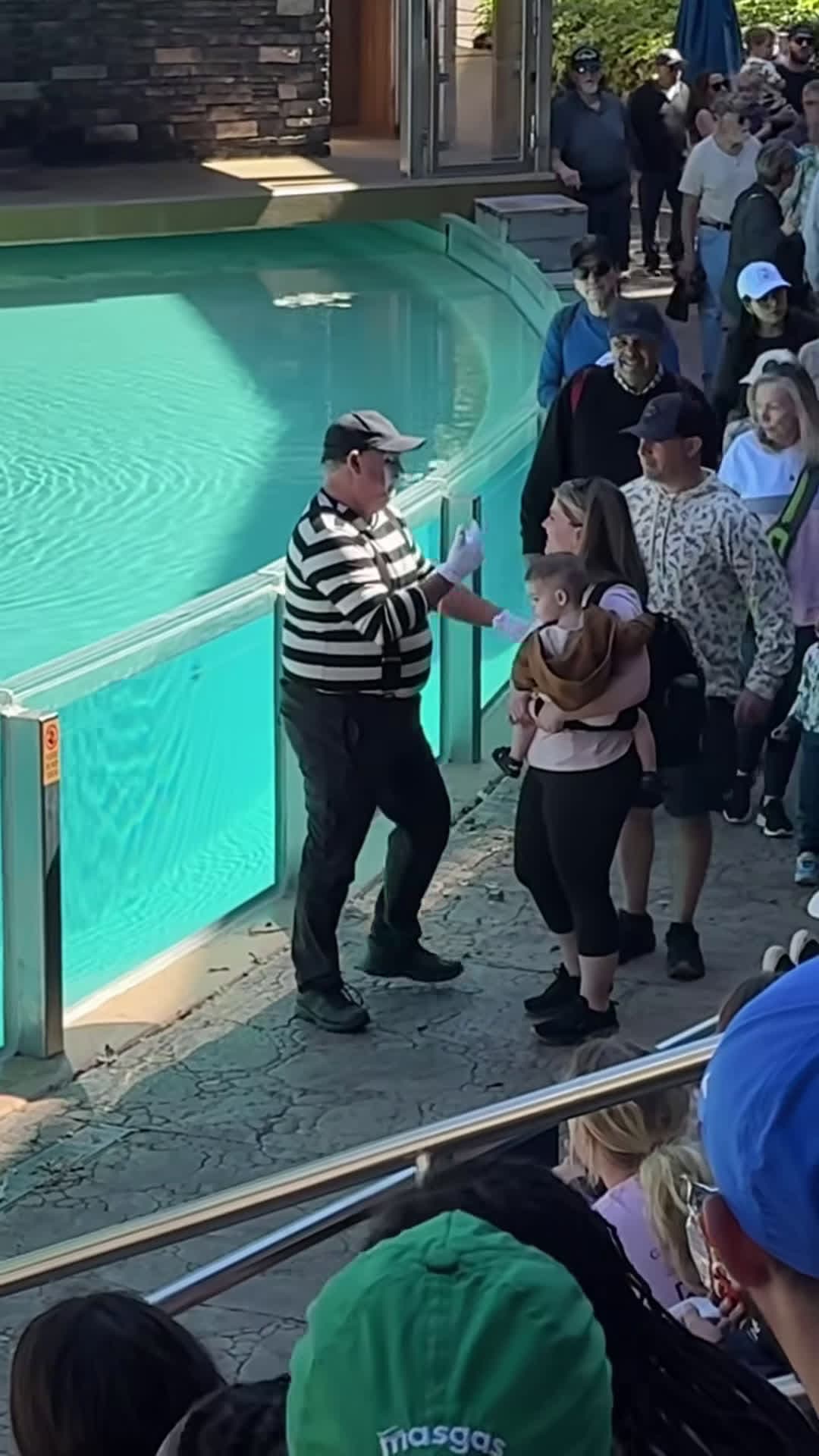cover for Tom the mime best moments #seaworldmime #tomthemime #seaworldorlando #funny #seaworld #comedy #funnyvideos #fun #funnyshorts #mime